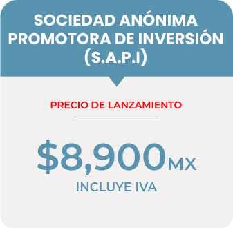 Sociedad anonima prom de inv